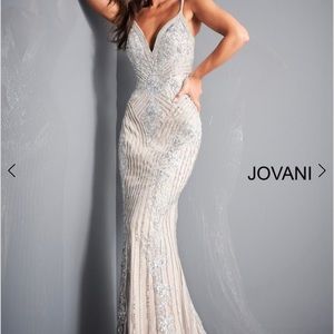 Beautiful formal nude/silver dress
